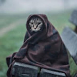 Meet your Posher, Ali